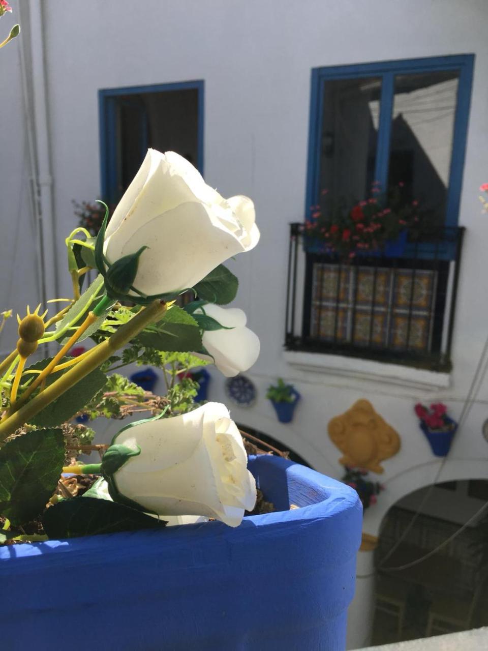 קורדובה Seneca Hostel מראה חיצוני תמונה