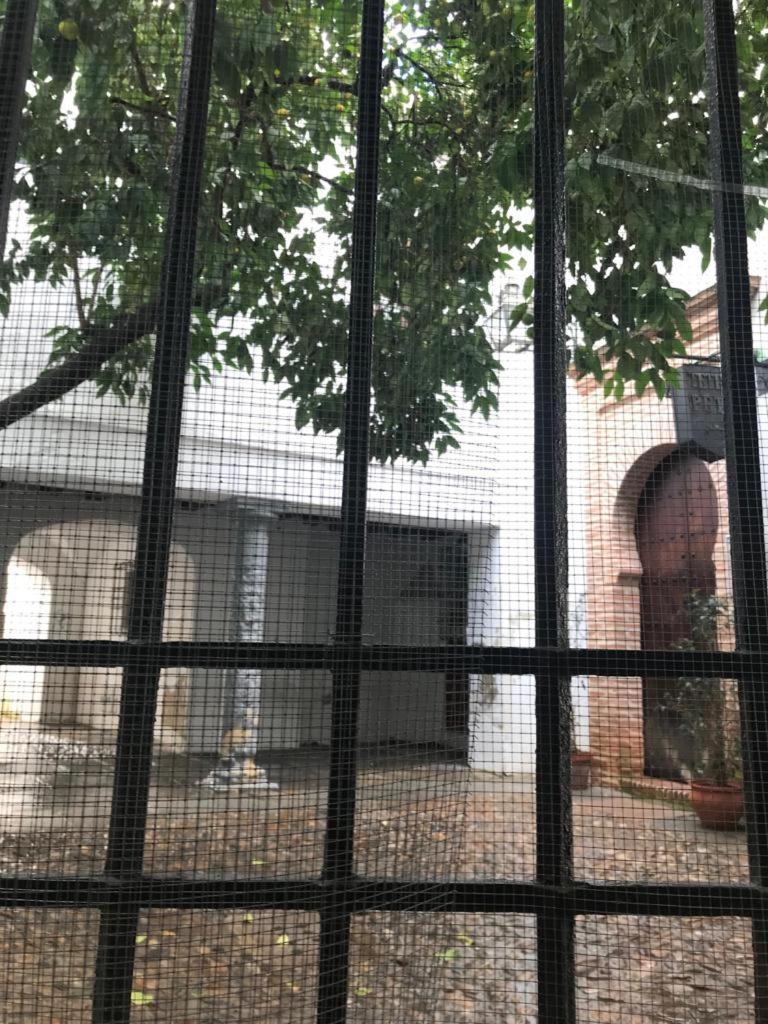 קורדובה Seneca Hostel מראה חיצוני תמונה