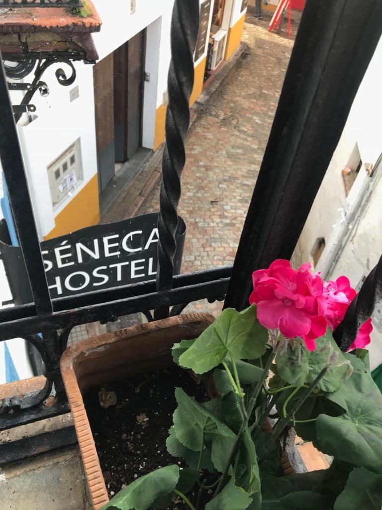 קורדובה Seneca Hostel מראה חיצוני תמונה